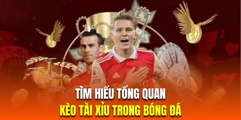 Tổng quan về hình thức cược tài xỉu bóng đá đặc sắc